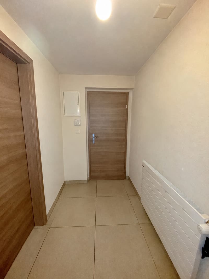 Charmant appartement de 2 pièces avec terrasse à Romont (4)