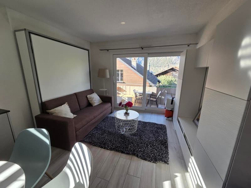 Splendide studio meublé (1)