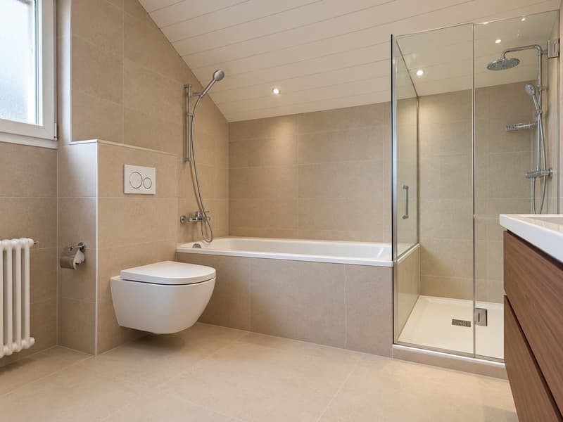Salle de bains douche WC