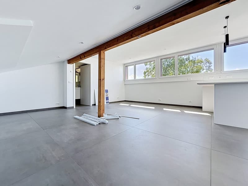 Mini-loft (qui a tout d'un grand, sauf le ménage du dimanche !) (5)