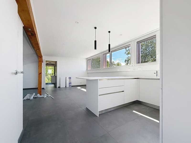 Mini-loft (qui a tout d'un grand, sauf le ménage du dimanche !) (2)