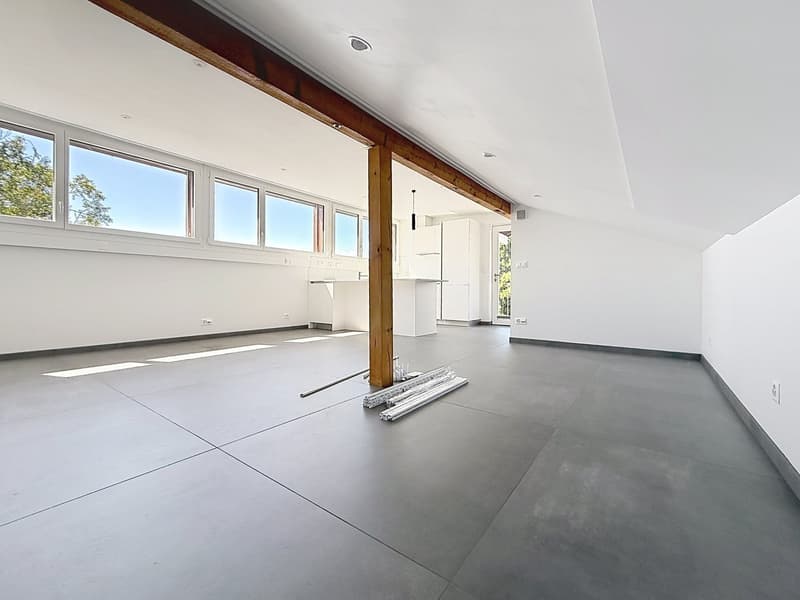 Mini-loft (qui a tout d'un grand, sauf le ménage du dimanche !) (6)