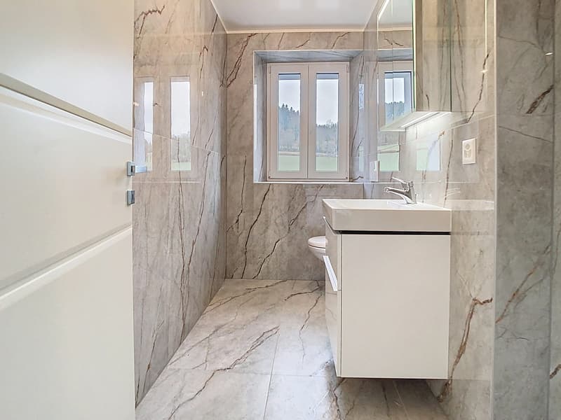 Triplex dexception dans une ancienne ferme rénovée  Vucherens (9)