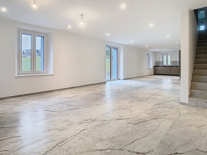 Triplex dexception dans une ancienne ferme rénovée  Vucherens (13)