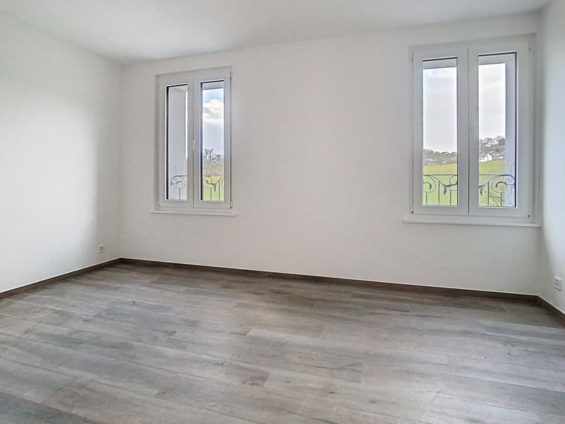 Triplex dexception dans une ancienne ferme rénovée  Vucherens (12)