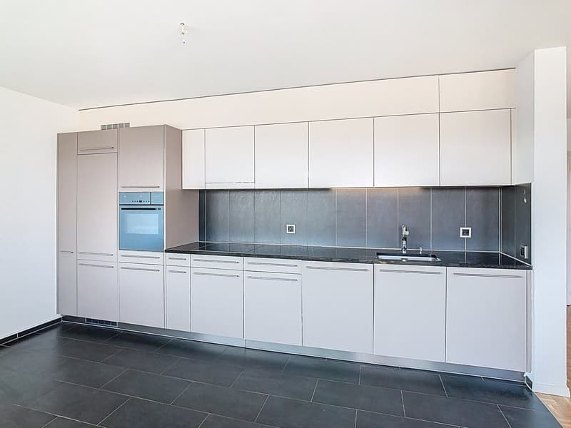 Superbe logement lumineux avec loggia et panorama exceptionnel (1)
