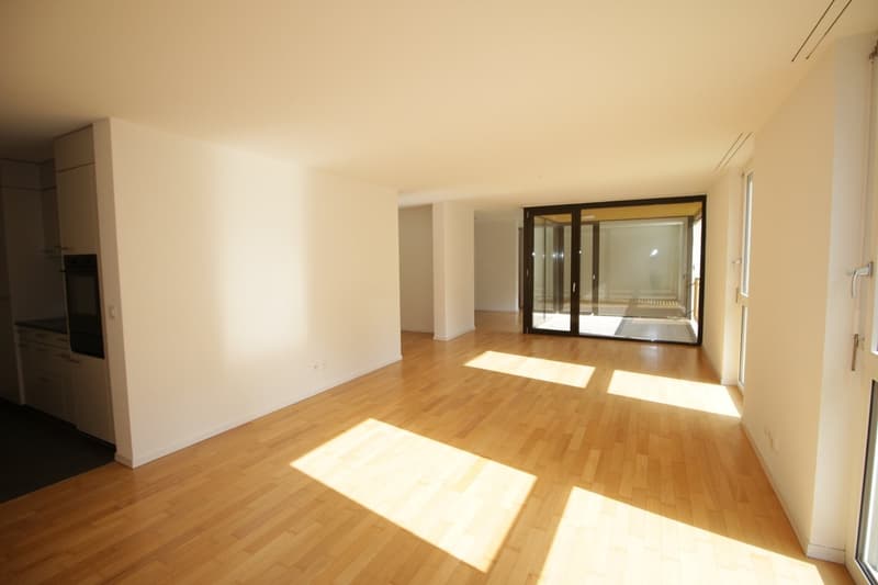 Très grand 2½ pièces type loft de 94 m2 résolument moderne ! (1)