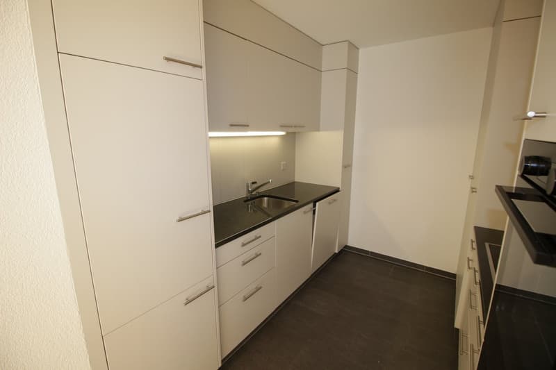 Très grand 2½ pièces type loft de 94 m2 résolument moderne ! (10)