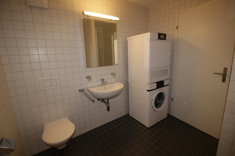 Très grand 2½ pièces type loft de 94 m2 résolument moderne ! (3)