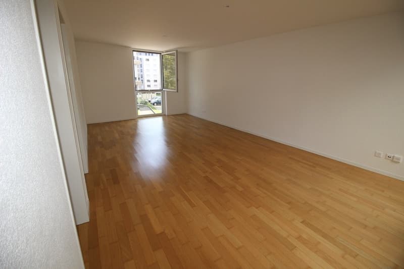 Incroyable loft de 97 m² avec patio au c?ur de Fribourg (3)
