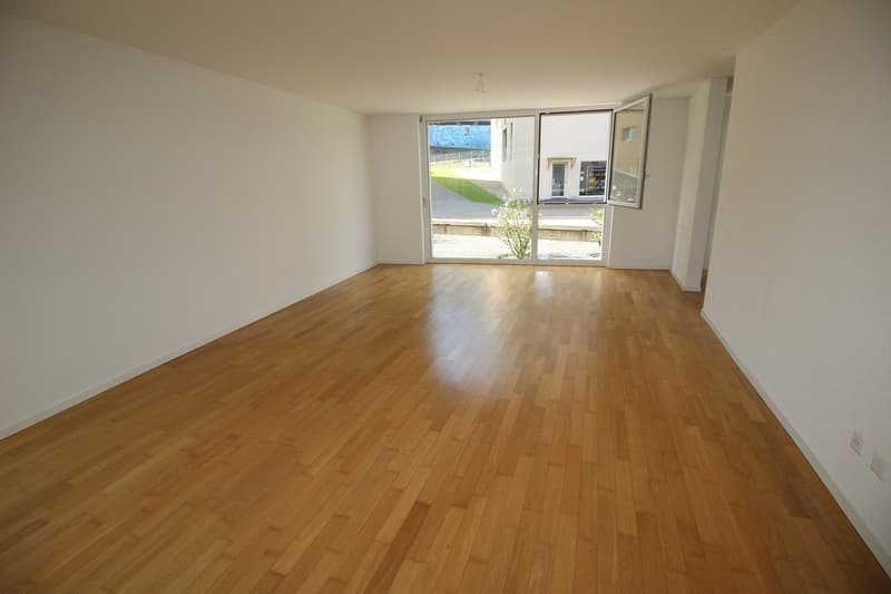 Incroyable loft de 97 m² avec patio au c?ur de Fribourg (2)