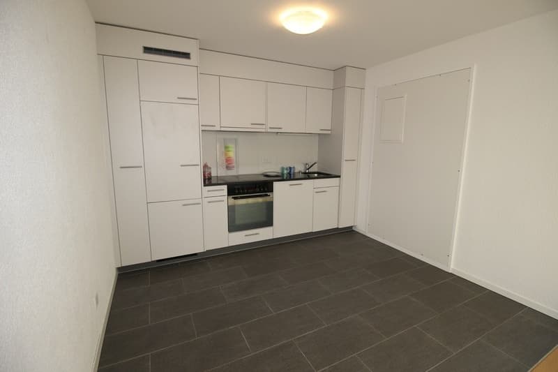 Incroyable loft de 97 m² avec patio au c?ur de Fribourg (10)
