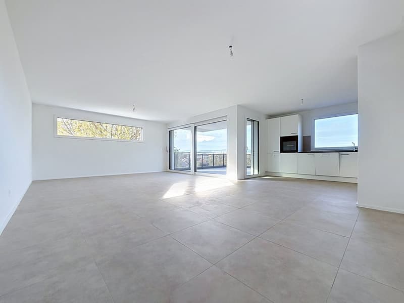 Logements neufs de 3.5 pièces à Broc !! (11)