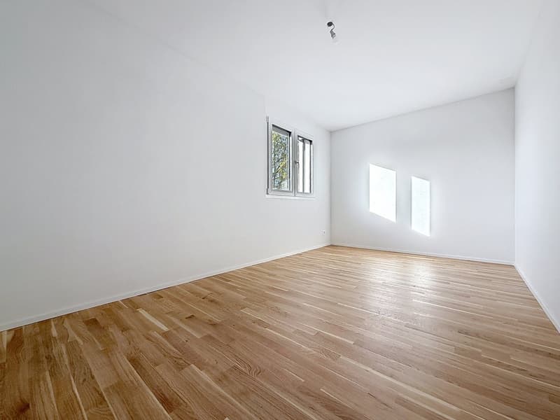 Logements neufs de 3.5 pièces à Broc !! (13)