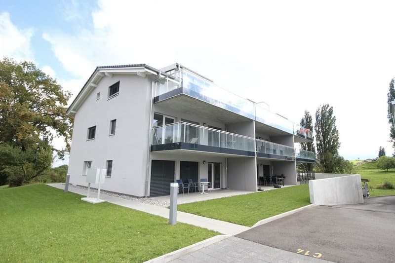 Logement de 4.5 pièces (8)