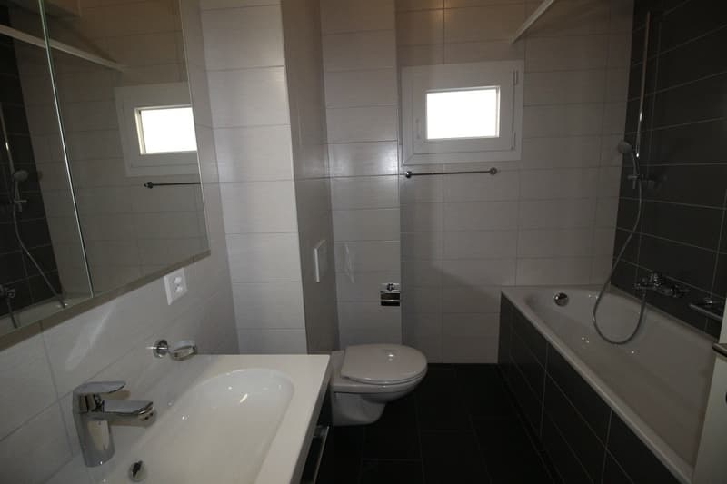 Logement de 4.5 pièces (3)