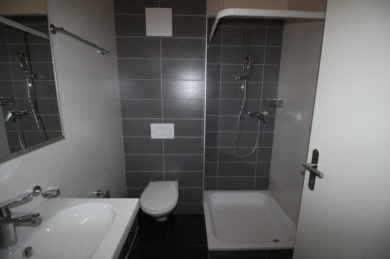 Logement de 4.5 pièces (5)