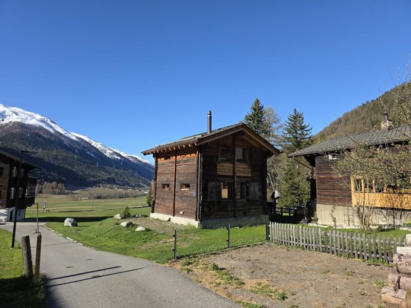 4 Zimmer - Stall an toller Lage mit Umschwung (2)