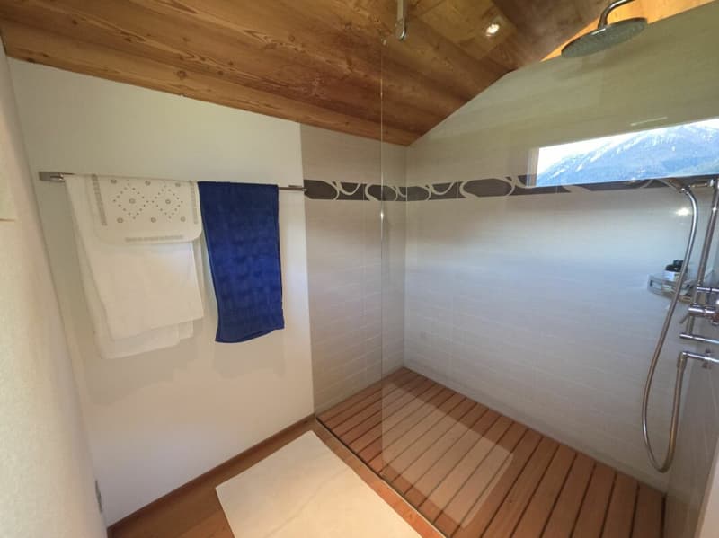 4 Zimmer - Stall an toller Lage mit Umschwung (7)