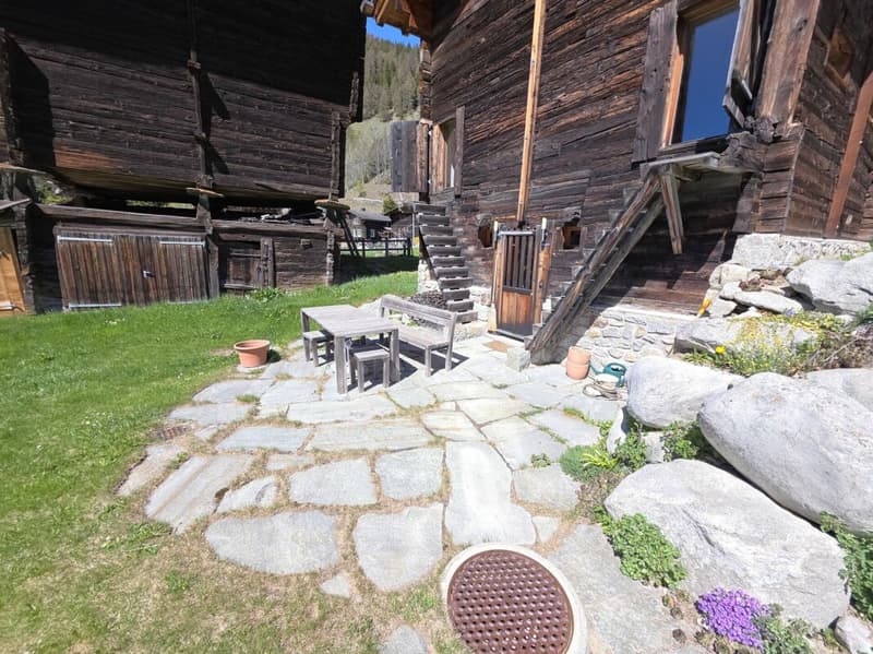 4 Zimmer - Stall an toller Lage mit Umschwung (14)