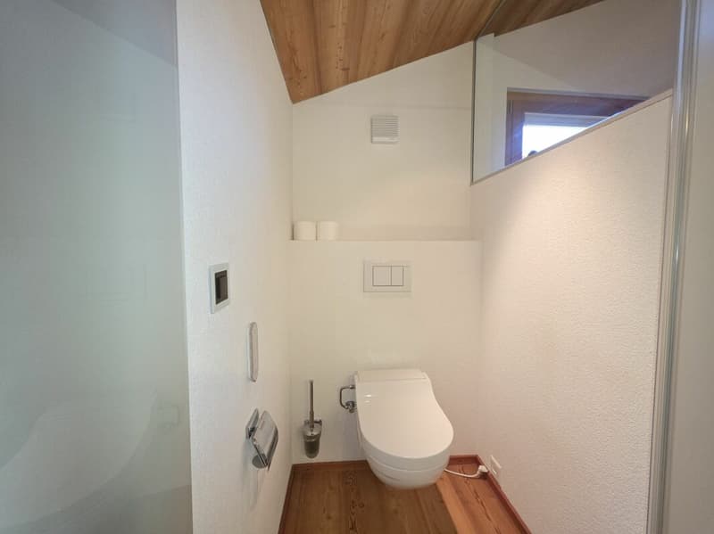 4 Zimmer - Stall an toller Lage mit Umschwung (8)
