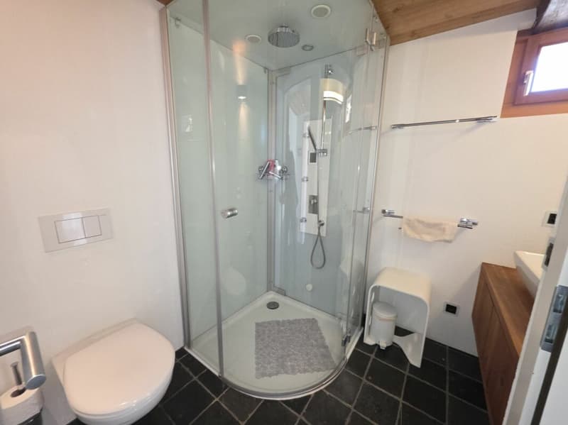 4 Zimmer - Stall an toller Lage mit Umschwung (11)
