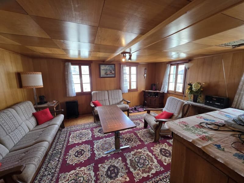 4.5 Zimmer - Whg. 2. OG Walliserhaus im Zentrum von Münster (3)