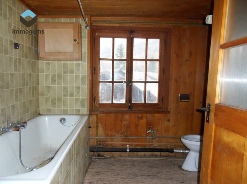 Haus mit drei Wohnungen an zentraler Lage (9)