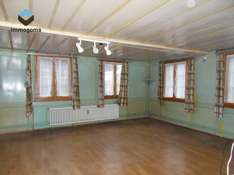Haus mit drei Wohnungen an zentraler Lage (3)