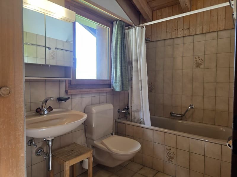 4.5 Zi - Dachmaisonettewohnung Haus 'Enzian' (8)
