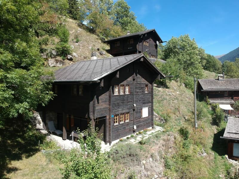 3.5 Zimmer - Ferienhaus (1)