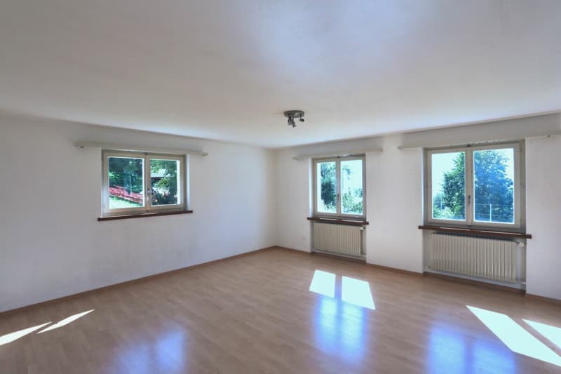 Haus mit 3 Wohnungen und Doppelgarage (2)