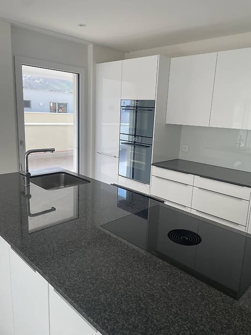 modern kitchen, stainless steel countertop, induction cooktop, double oven, glass door, large sink, modern faucet