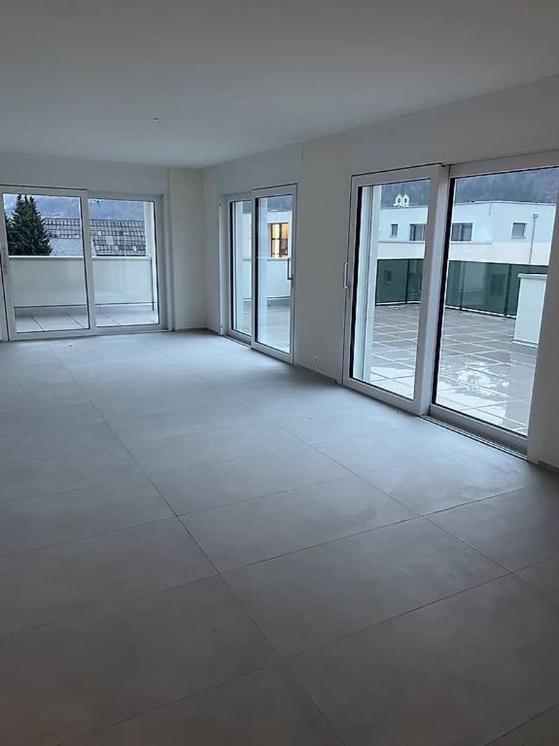 4.5 Zimmer Attika Wohnung (2)