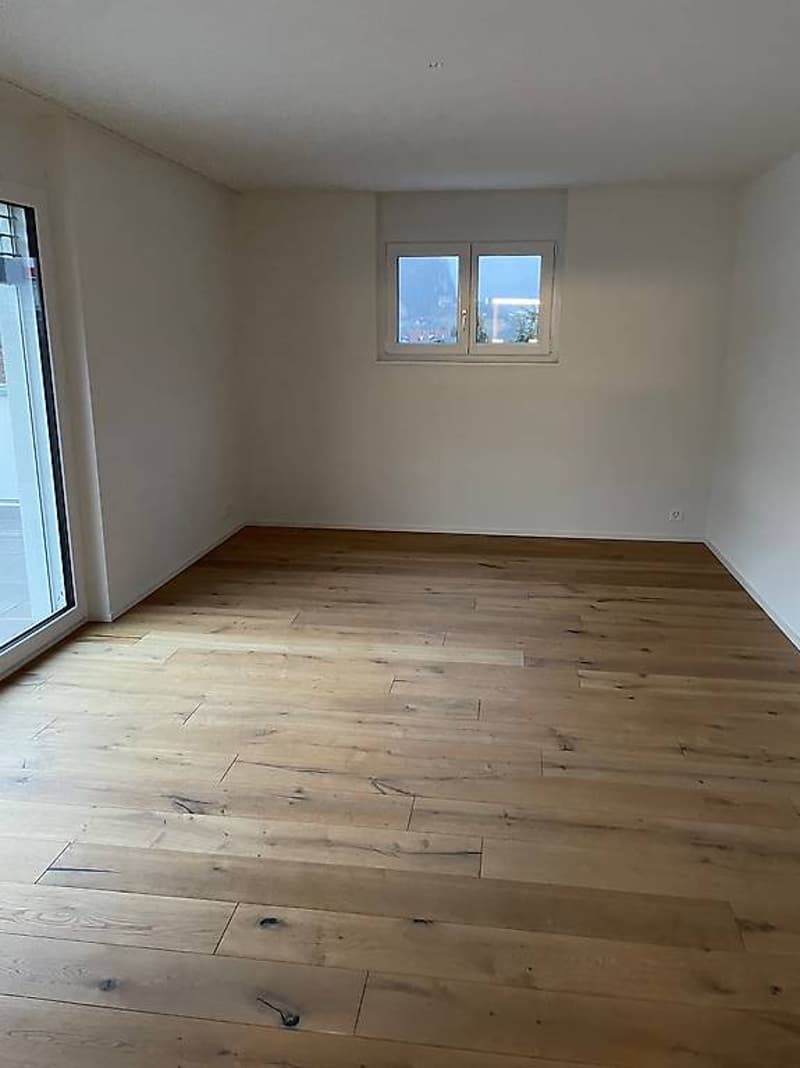 4.5 Zimmer Attika Wohnung (6)