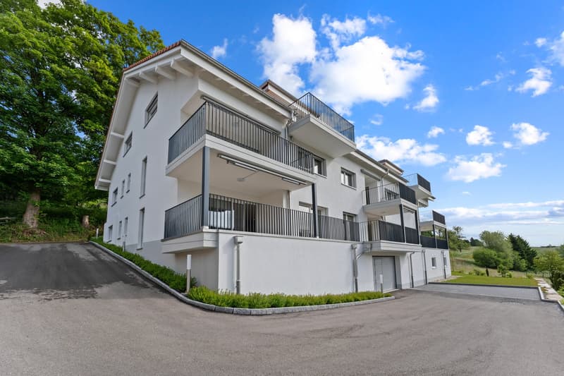 Traumhafte 4.5-Zimmer-Neubau Attikawohnung in Tramelan (9)