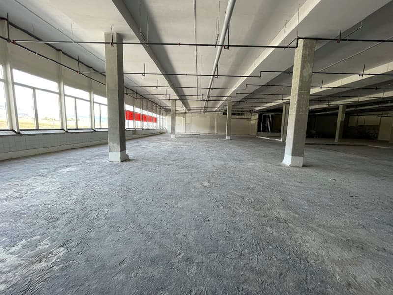 Surface commerciale spacieuse de 1'503m² à Marin – Accessibles et bien desservis (2)