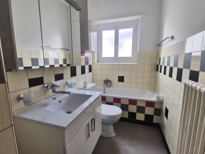 Bellinzona - ampio 4.5 locali (ref. 271-10) (9)