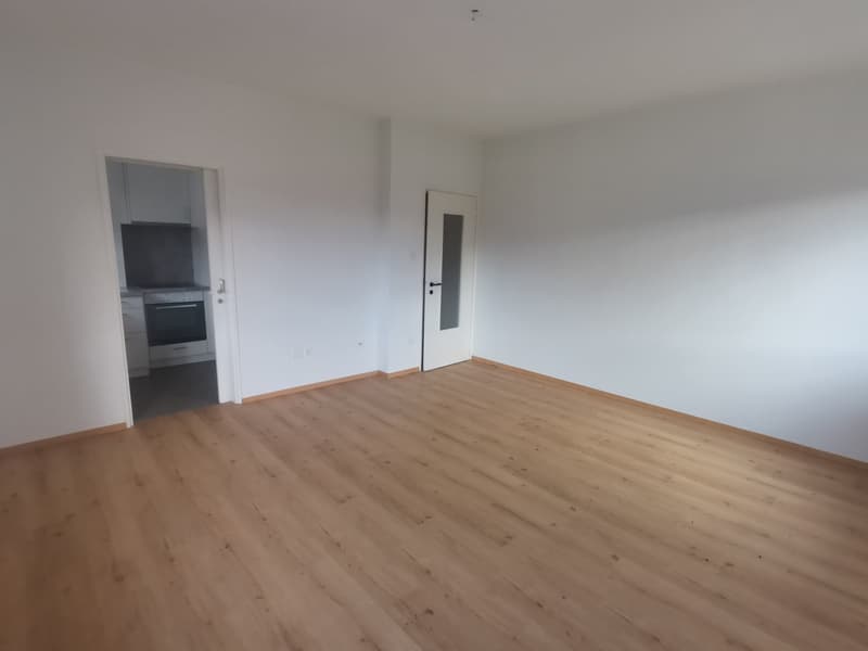 Bellinzona - ampio 4.5 locali (ref. 271-10) (3)