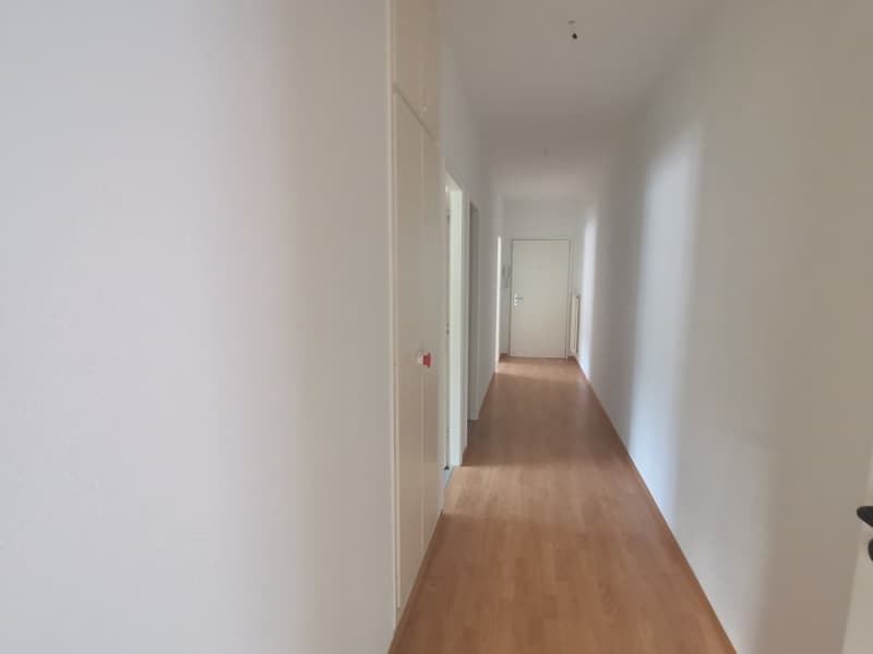 Bellinzona - ampio 4.5 locali (ref. 271-10) (6)