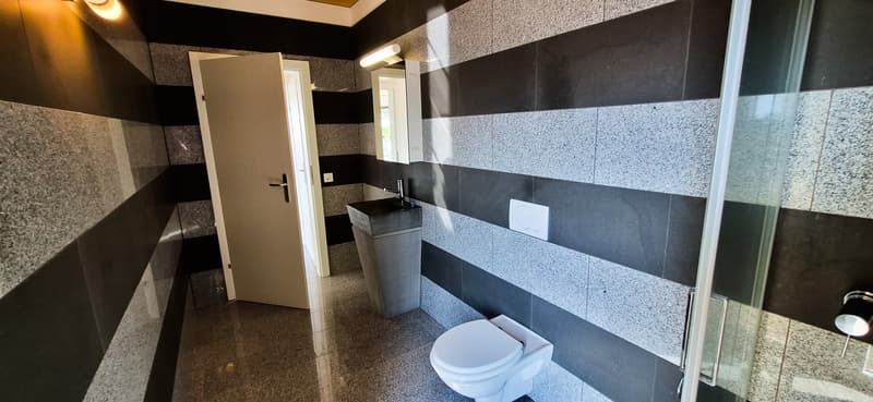 Losone - spazioso appartamento di 2 locali attico (ref. 1514-3) (8)
