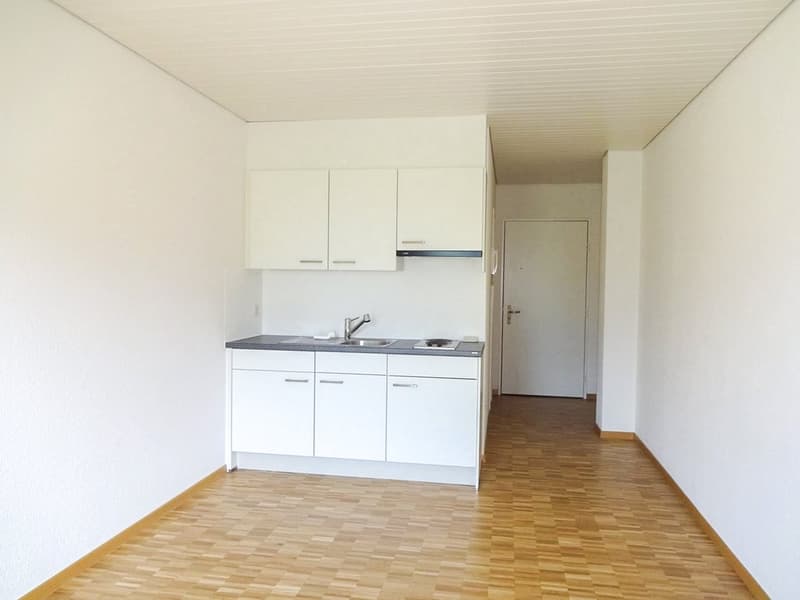Muralto - grazioso monolocale (ref. 451-700) (1)
