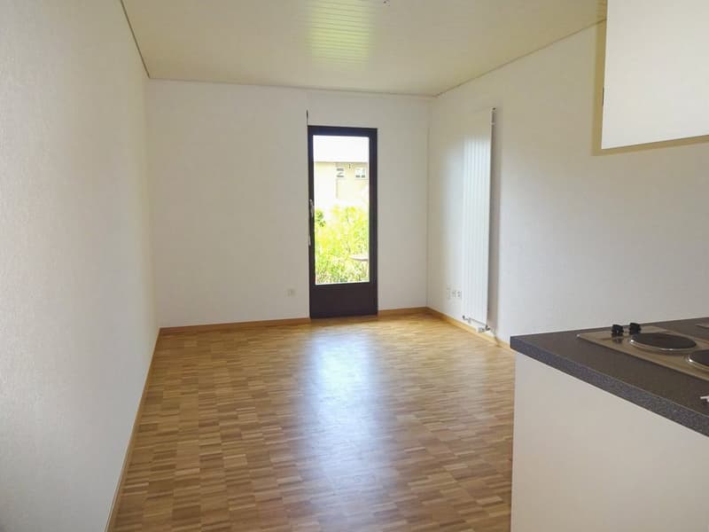 Muralto - grazioso monolocale (ref. 451-700) (2)
