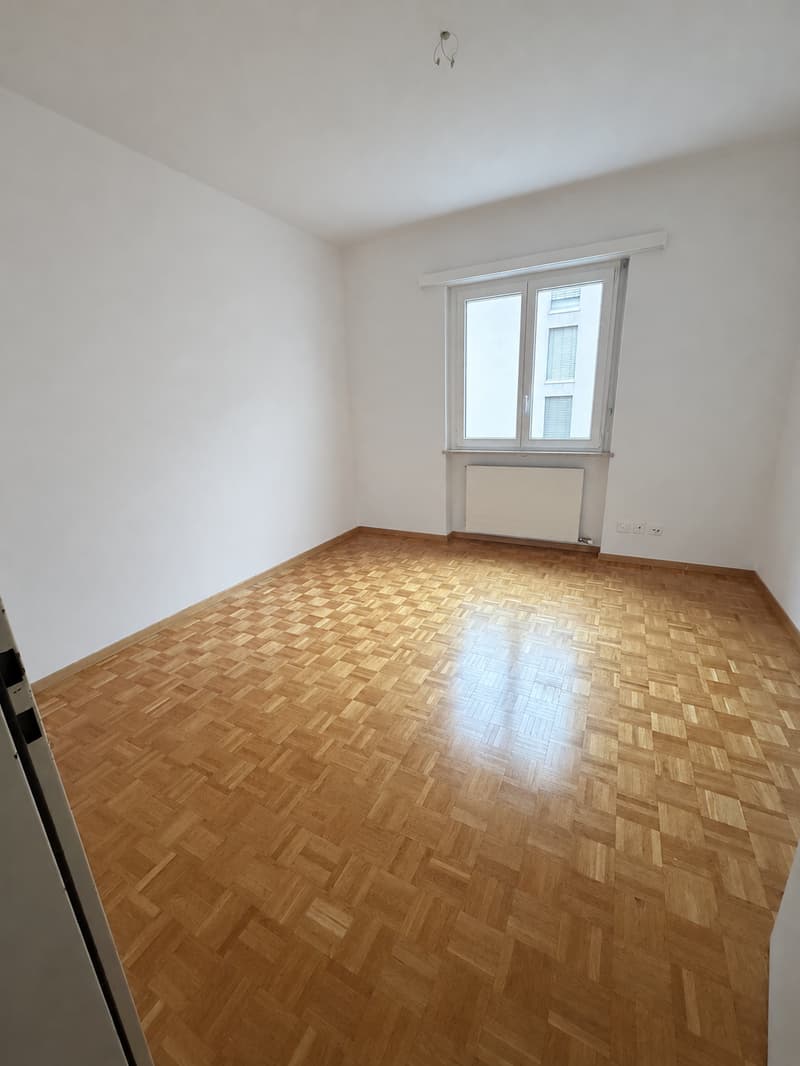 Locarno - ampio 4.5 locali (ref. 165-7) (8)