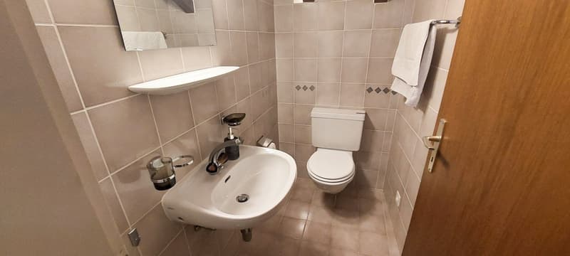 Ronco S/Ascona - 3.5 duplex AMMOBILIATO (ref. 189-7) (10)