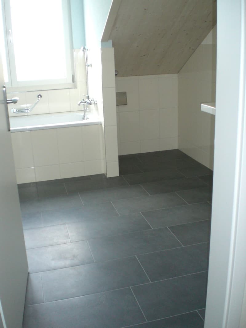 Charmante 3 1/2-Zimmerwohnung DG (7)