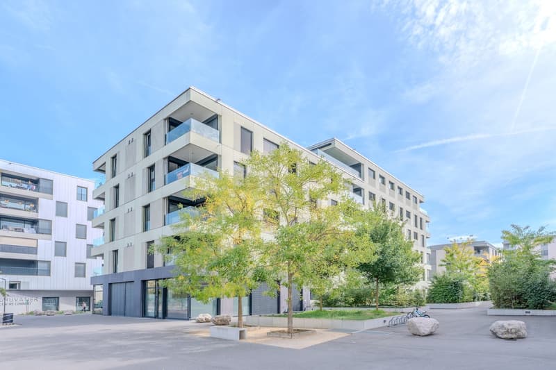 Appartement 3.5 pièces comme neuf avec loggia à Orbe (13)