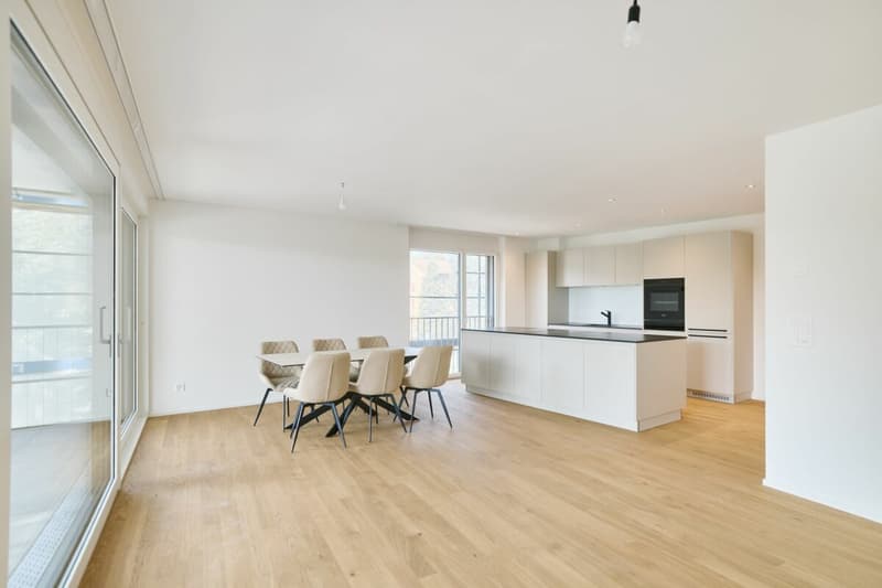 H1.2 I 4,5-Zimmer-Wohnung im 1. OG direkt an der Aare (3)