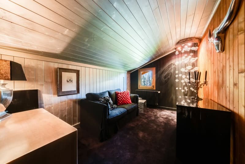 Chalet individuel de 9 pièces entièrement rénové en 2012 (14)