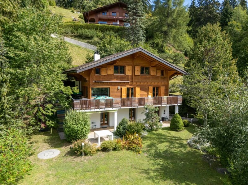Chalet individuel de 9 pièces entièrement rénové en 2012 (1)